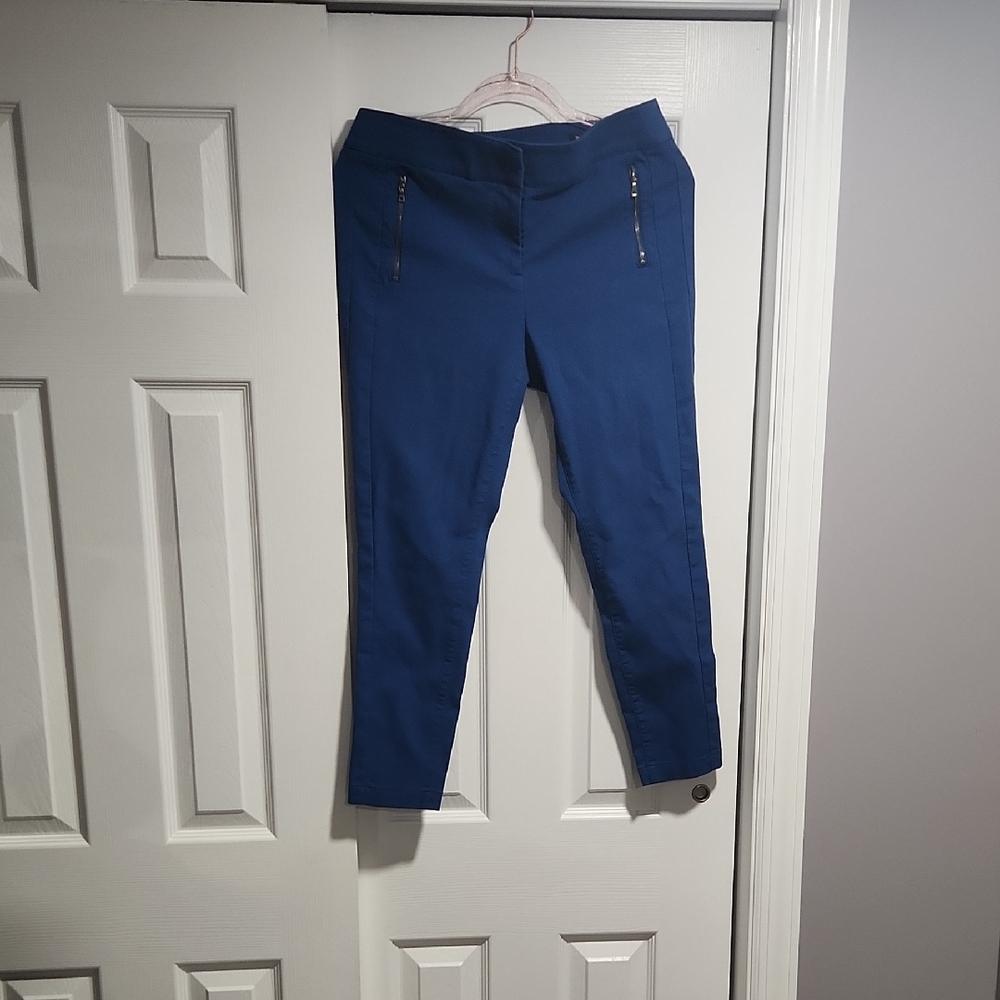 Blue Zip-Detail Pants 10 Petite